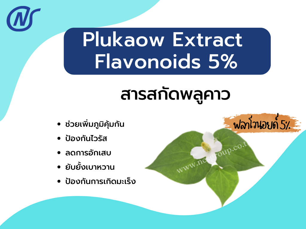 Plukaow Extract Flavonoids 5%